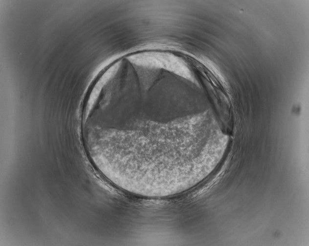 X0000096190854200802151501