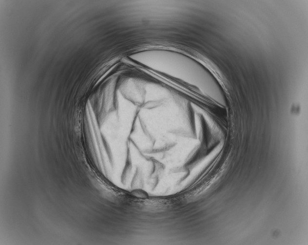 X0000096190857200802151501