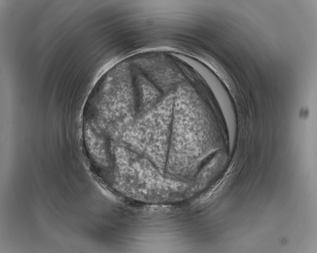 X0000096190858200802151501