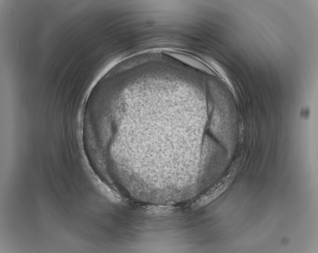 X0000096190859200802151502