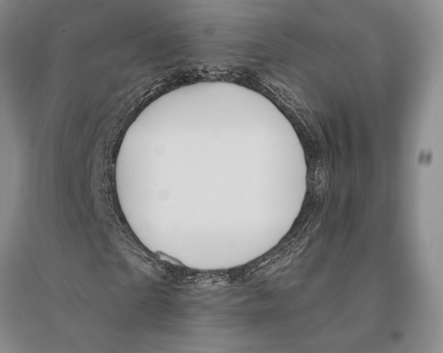 X0000096190865200802151501