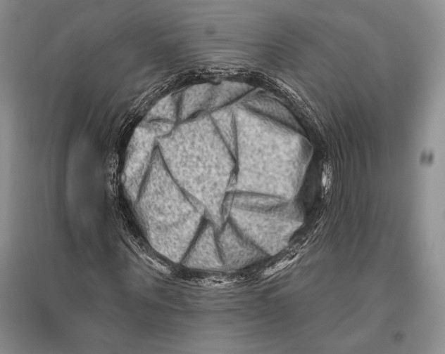 X0000096190867200802151501