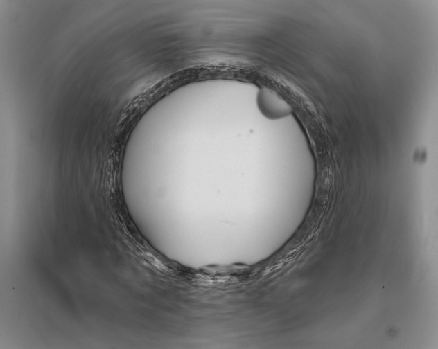 X0000096190869200802151501