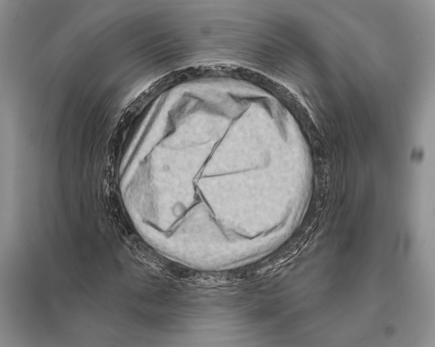 X0000096190871200802151501