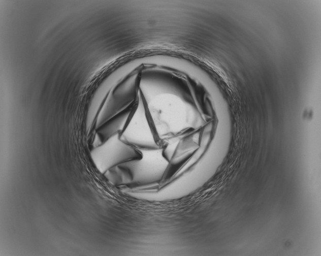 X0000096190872200802151501