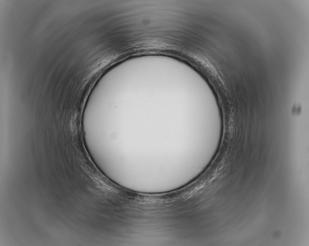 X0000096190873200802151501