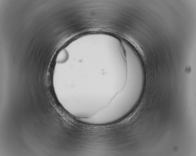 X0000096190876200802151501