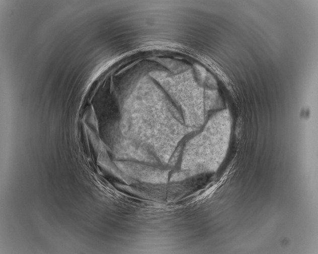 X0000096190877200802151501