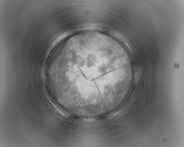 X0000096190882200802151501