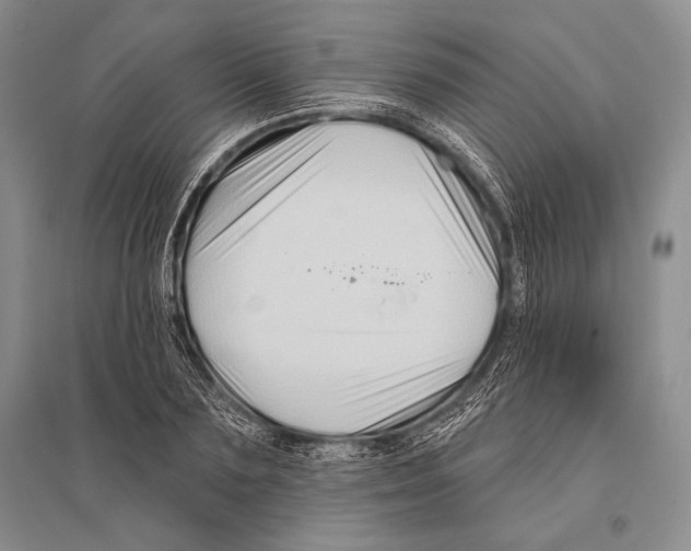 X0000096190883200802151501