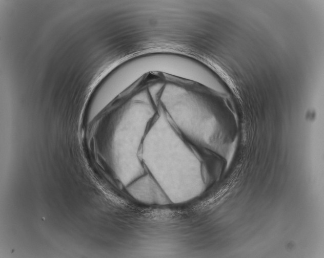 X0000096190885200802151501