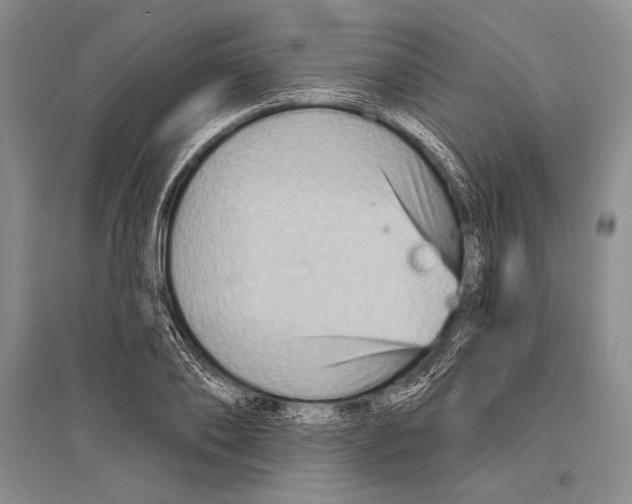 X0000096190886200802151501