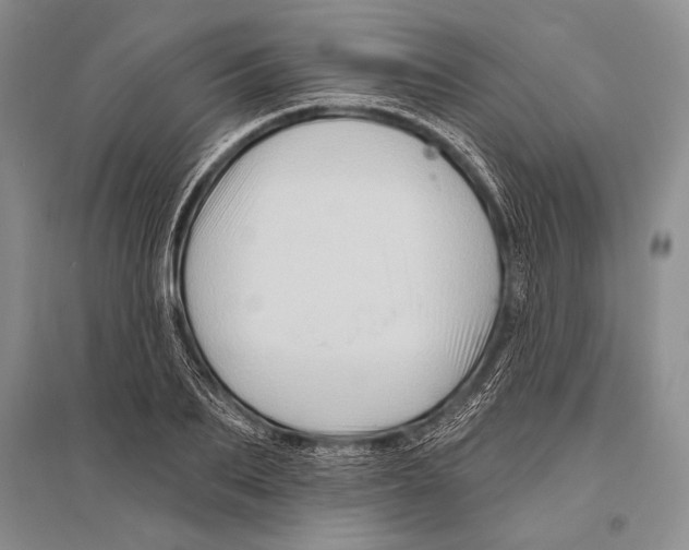 X0000096190887200802151501