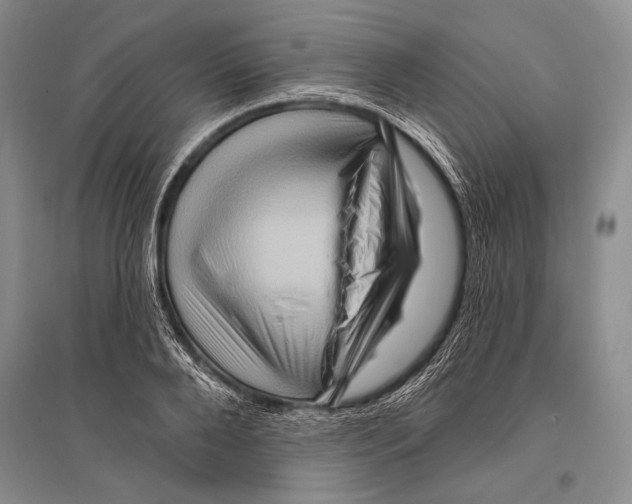 X0000096190888200802151501