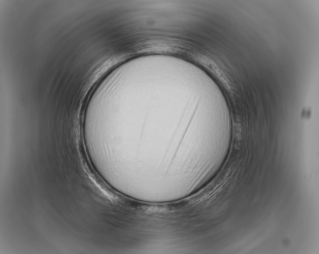 X0000096190890200802151501