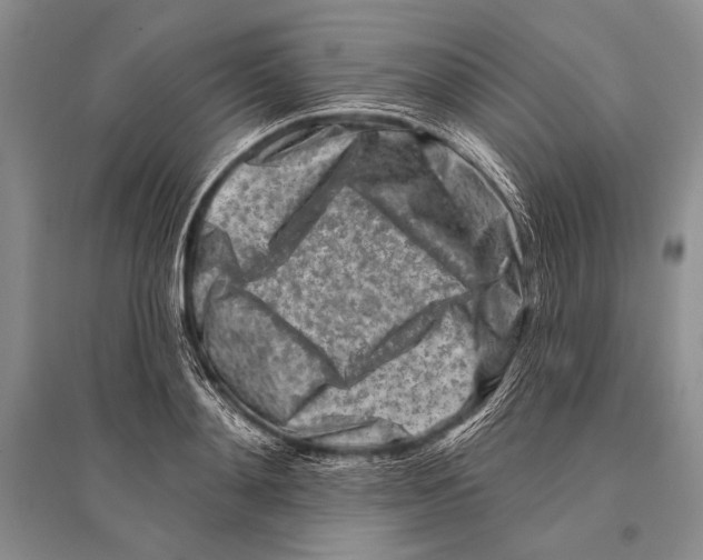 X0000096190892200802151501