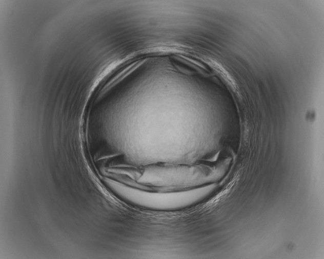 X0000096190893200802151501