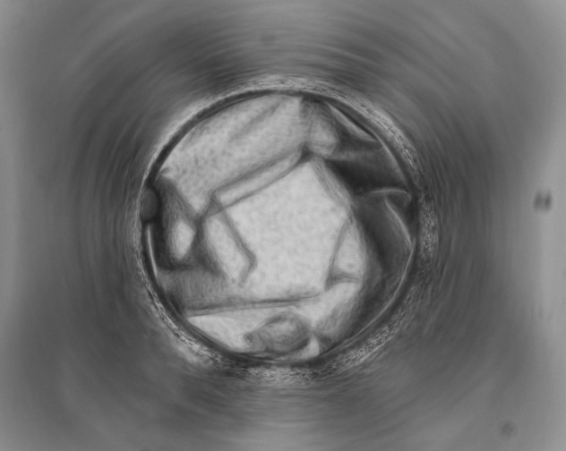 X0000096190896200802151500