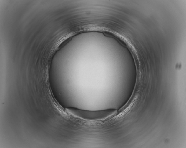 X0000096190897200802151500