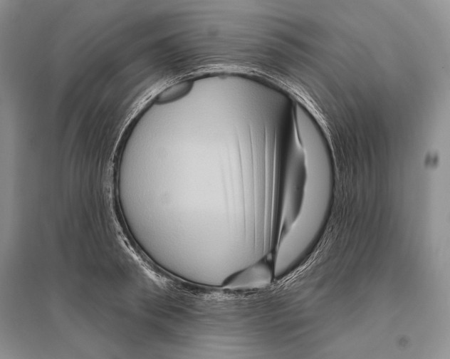 X0000096190898200802151500