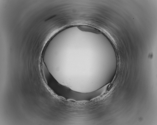 X0000096190901200802151500