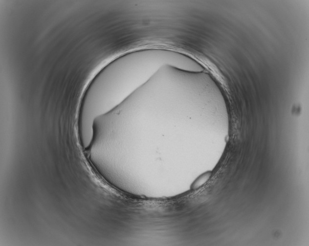 X0000096190904200802151500