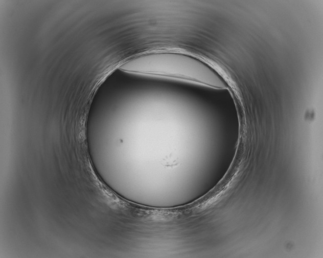 X0000096190905200802151500