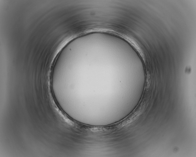 X0000096190906200802151500