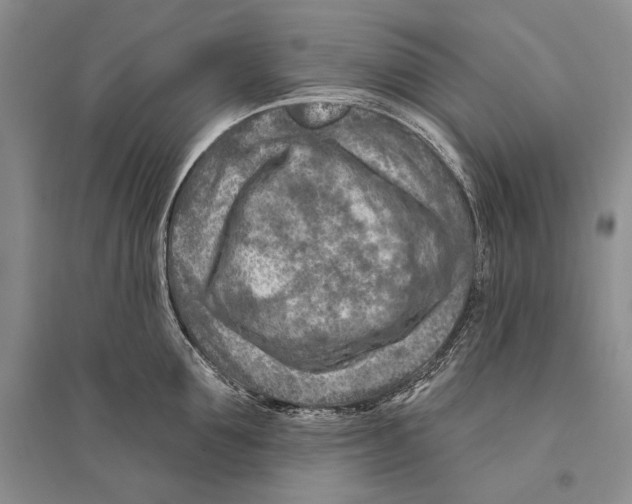 X0000096190907200802151500