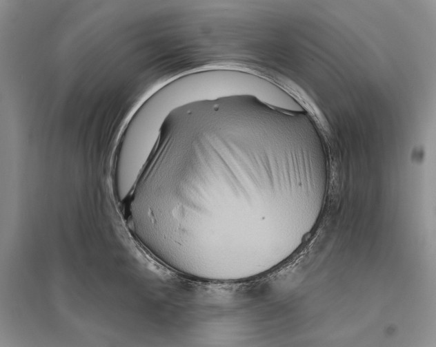 X0000096190908200802151500