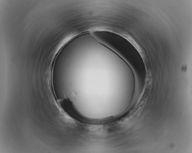 X0000096190909200802151500