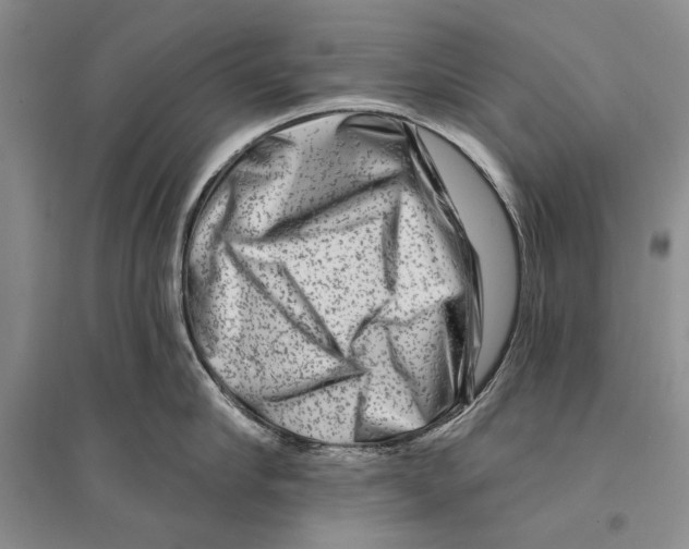 X0000096190910200802151500