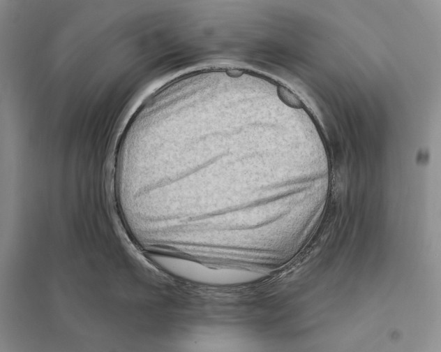 X0000096190911200802151500