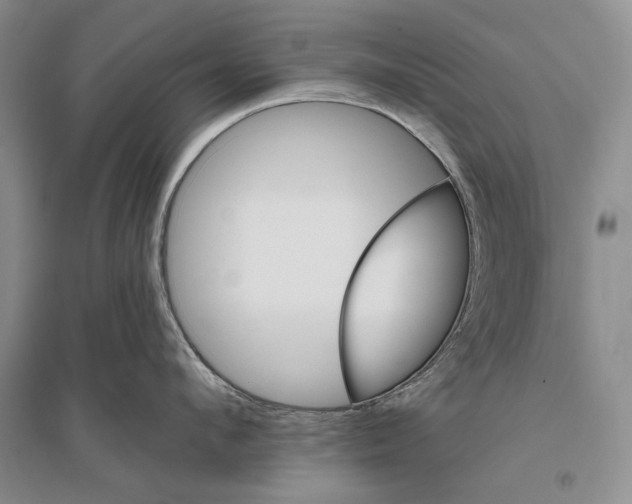 X0000096190912200802151500