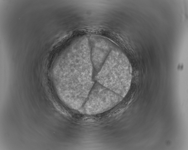 X0000096190913200802151500