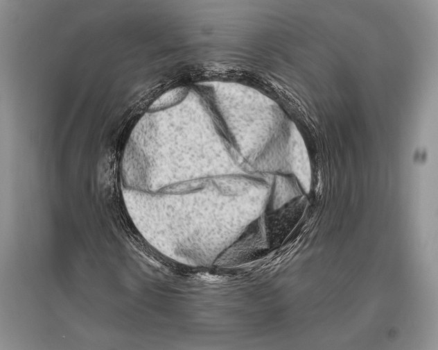 X0000096190914200802151500