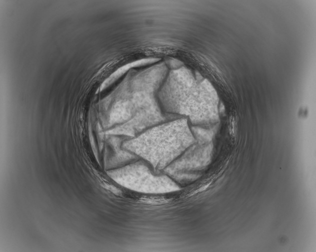 X0000096190915200802151500