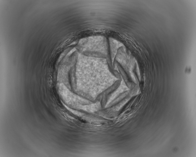 X0000096190916200802151500