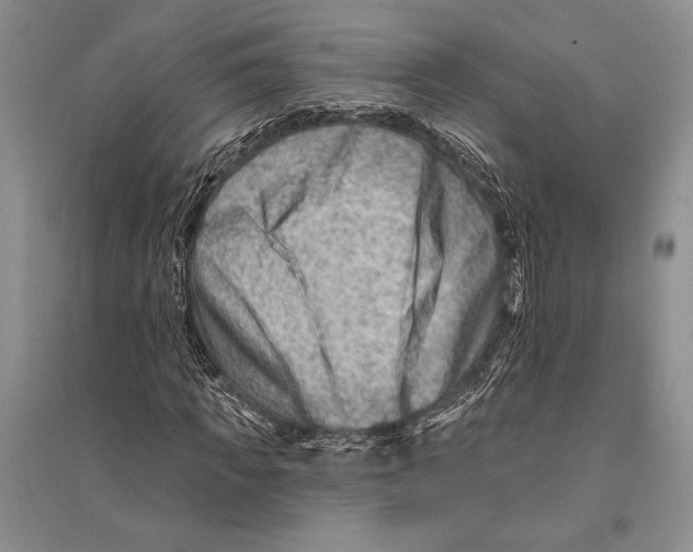 X0000096190917200802151500