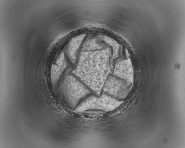 X0000096190919200802151500