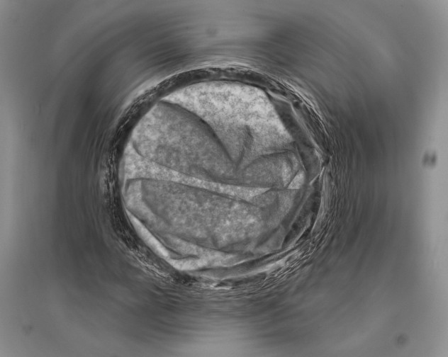 X0000096190920200802151500