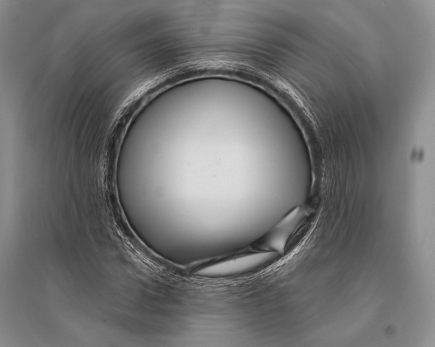 X0000096190922200802151500