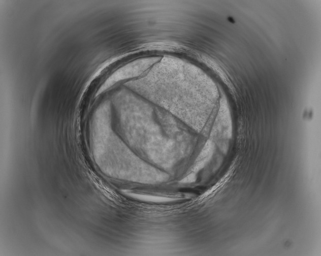 X0000096190923200802151500