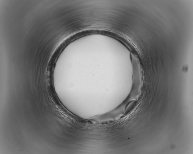 X0000096190926200802151500