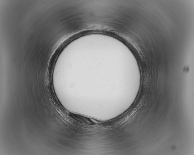 X0000096190927200802151500