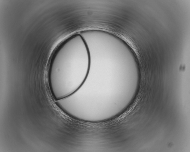 X0000096190928200802151500