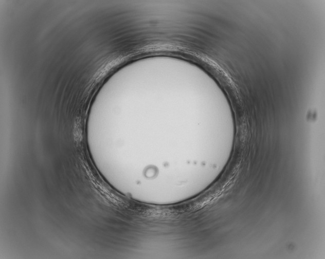 X0000096190929200802151500