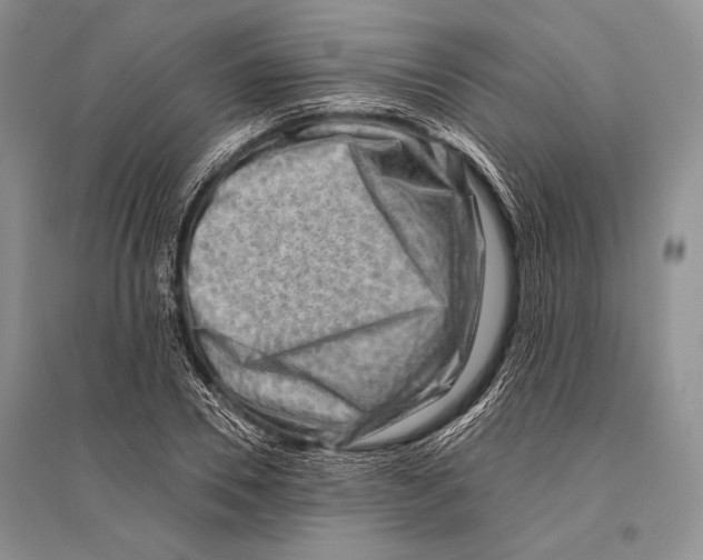 X0000096190930200802151500