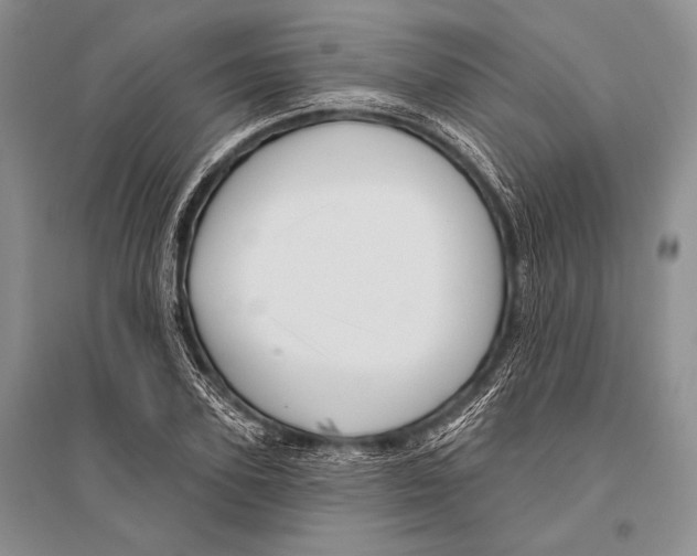 X0000096190931200802151500