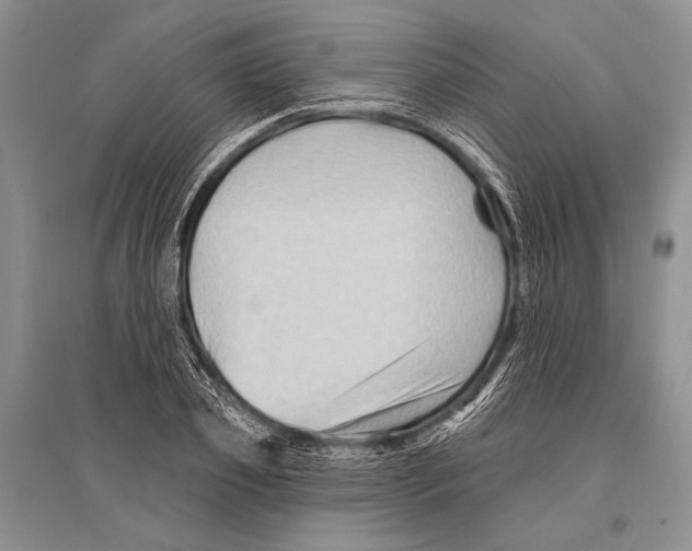 X0000096190933200802151500